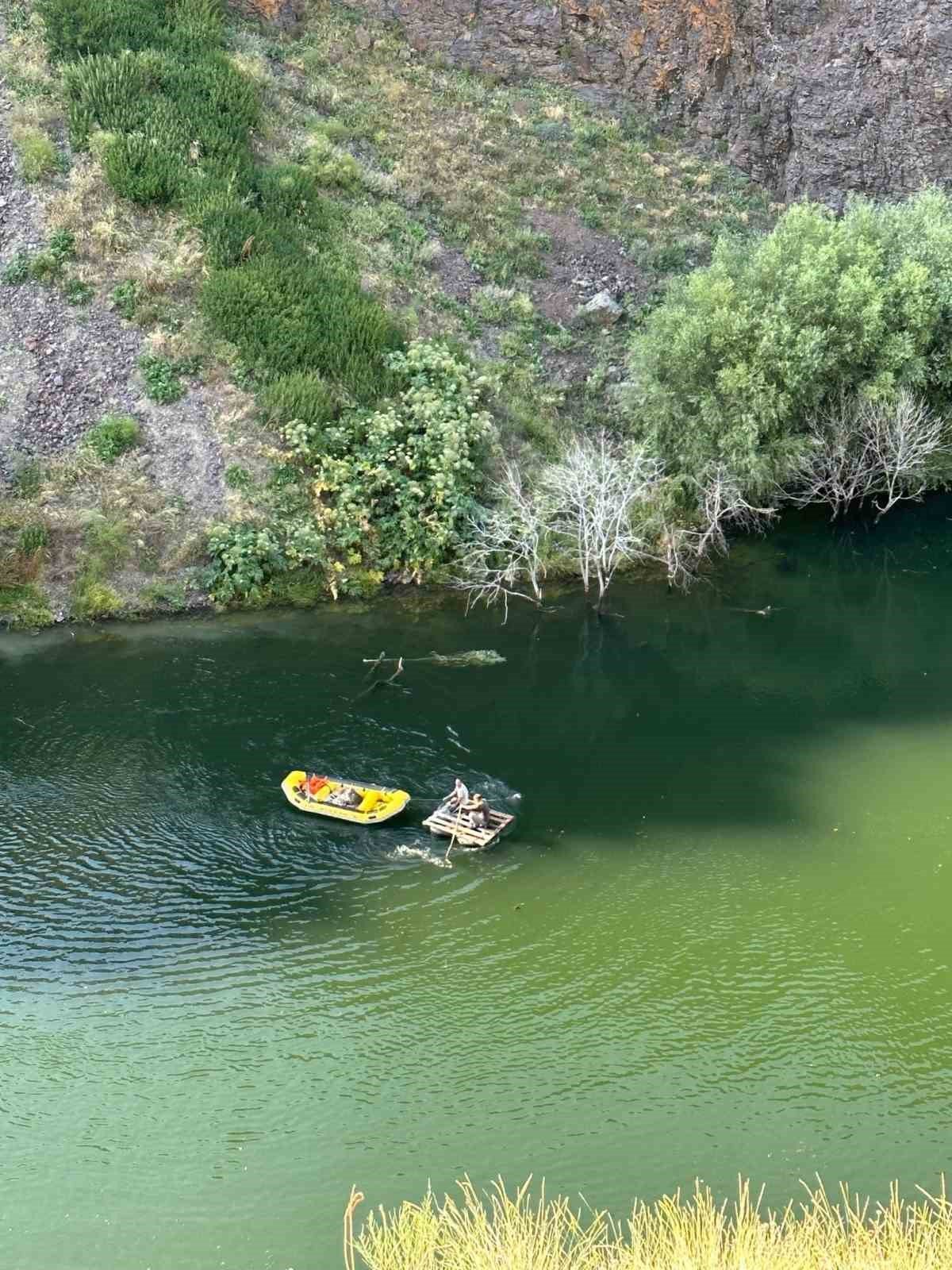 Sarıkamış’ta Aras Nehri’ne düşen büyükbaş hayvan kurtarıldı
