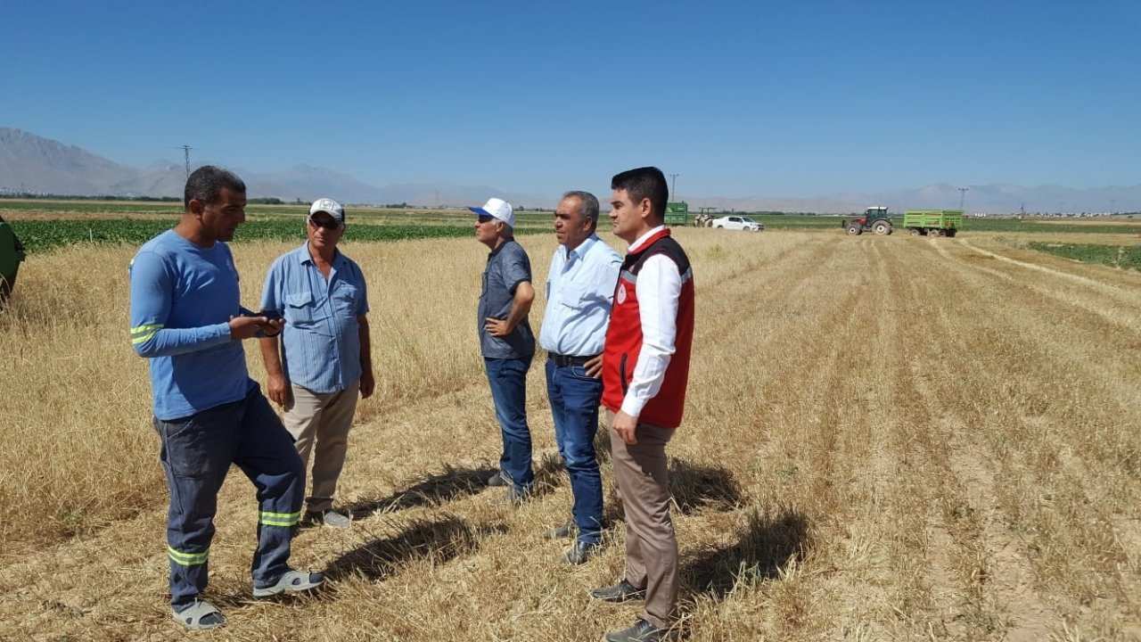 Biçerdöverler dane kaybına karşı kontrol ediliyor