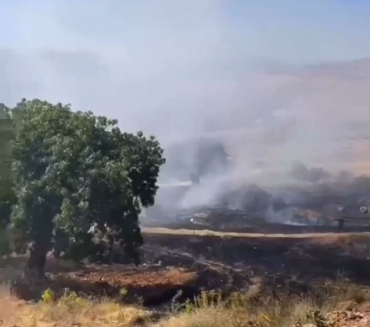 Siirt’te fıstık bahçeleri yanıyor, ekipler müdahale ediyor