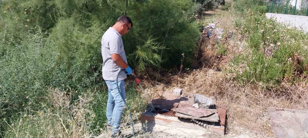 Söke Belediyesi’nin mücadelesi sonuç veriyor