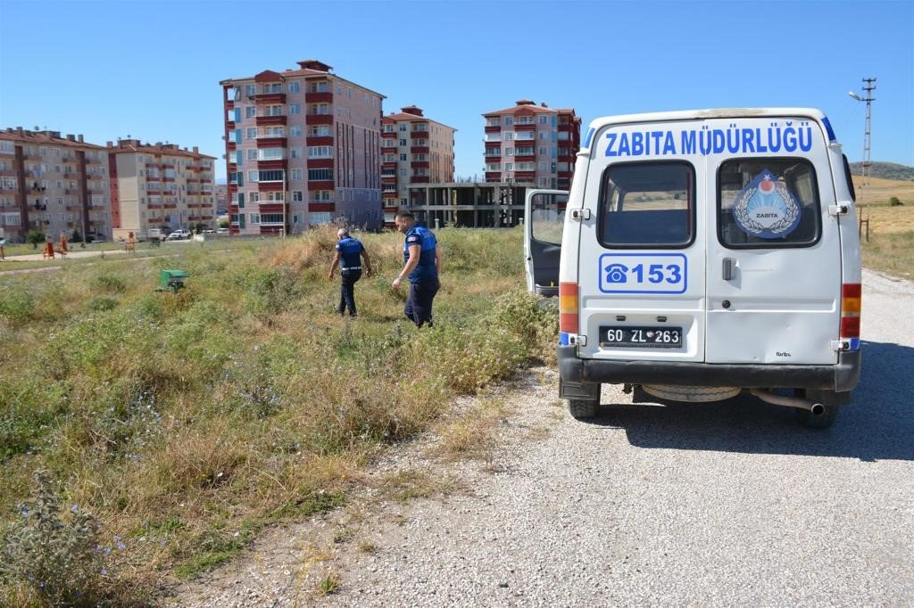 Sokak hayvanları için su ve yiyecek bırakıldı