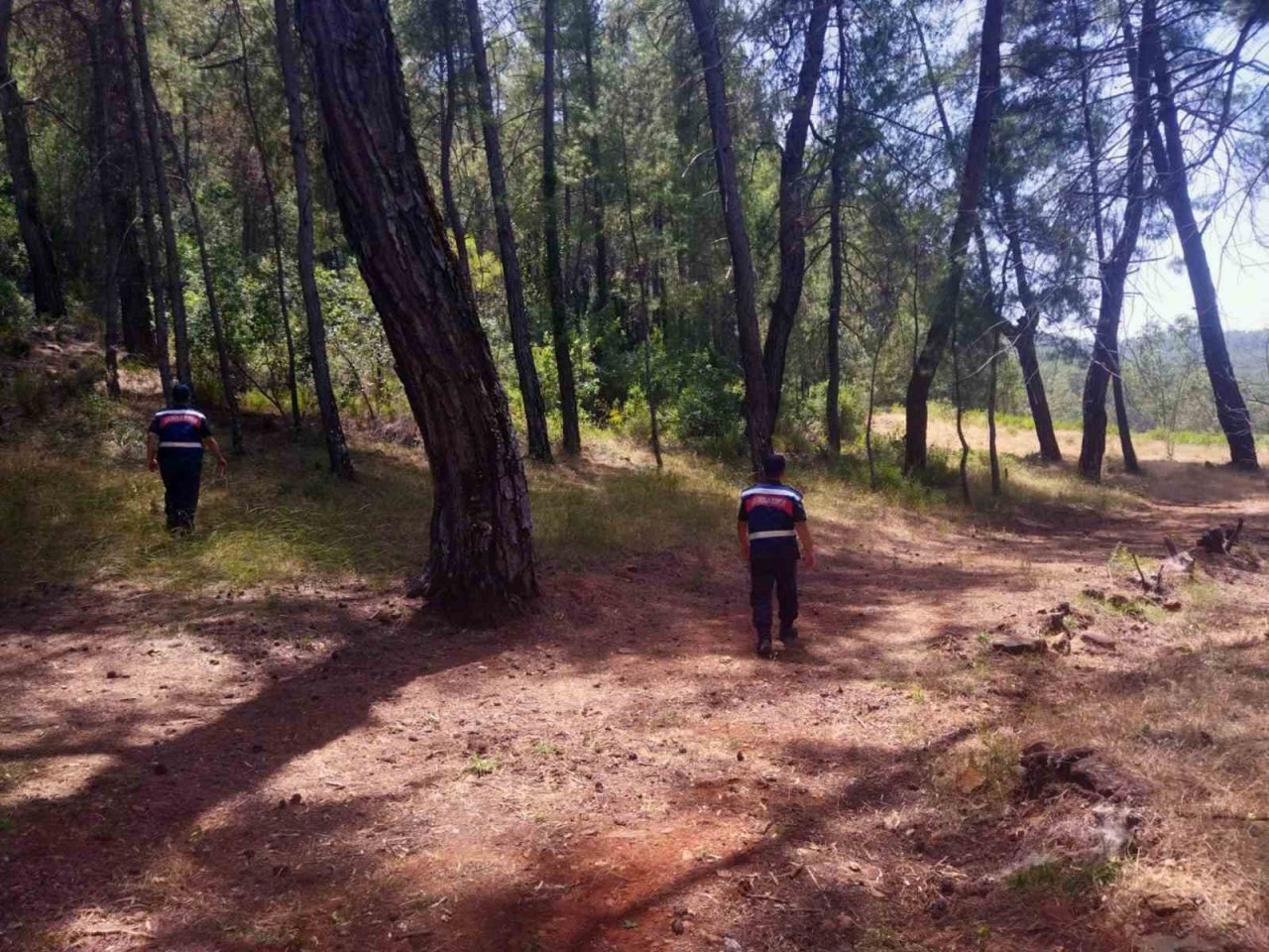 Jandarma ‘Yeşil Vatan’ devriyesinde