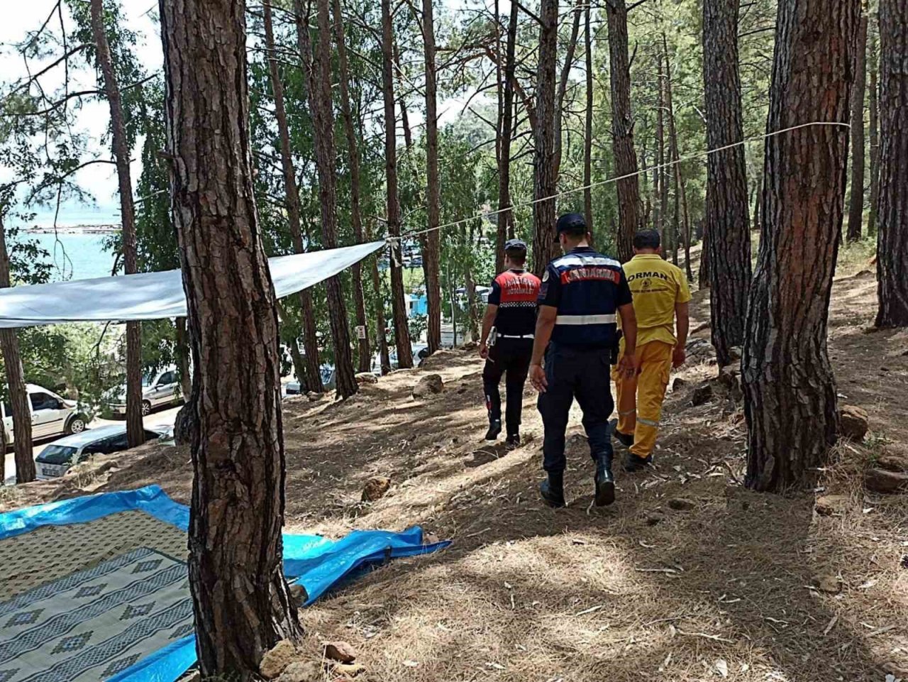 Jandarma ‘Yeşil Vatan’ devriyesinde