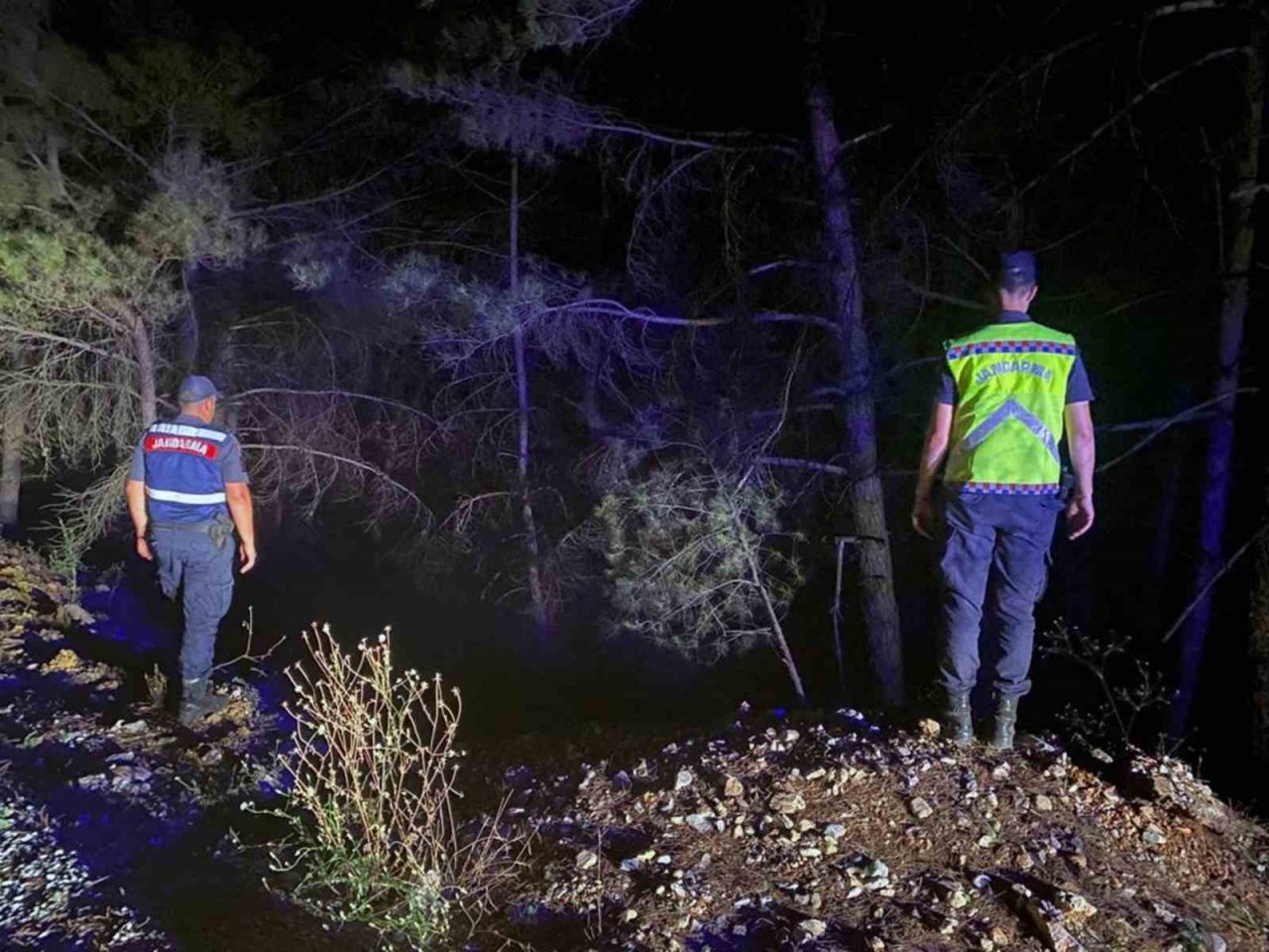 Jandarma ‘Yeşil Vatan’ devriyesinde