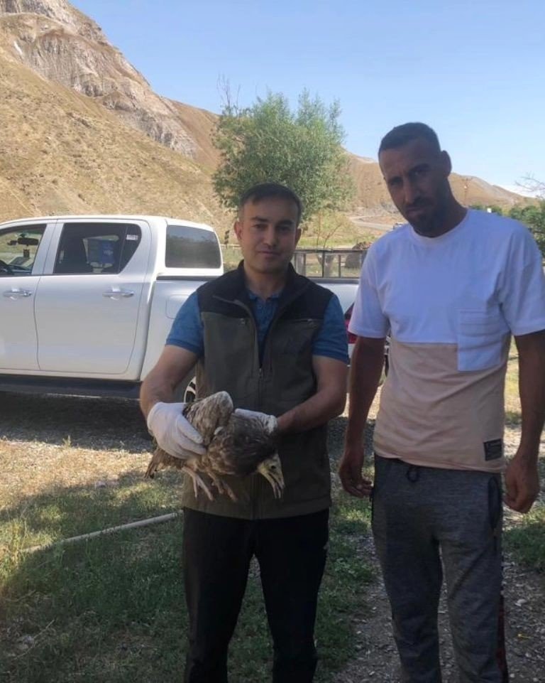 Yaralı Akbaba ve Kızıl Şahin Kars’ta tedavi altına alındı