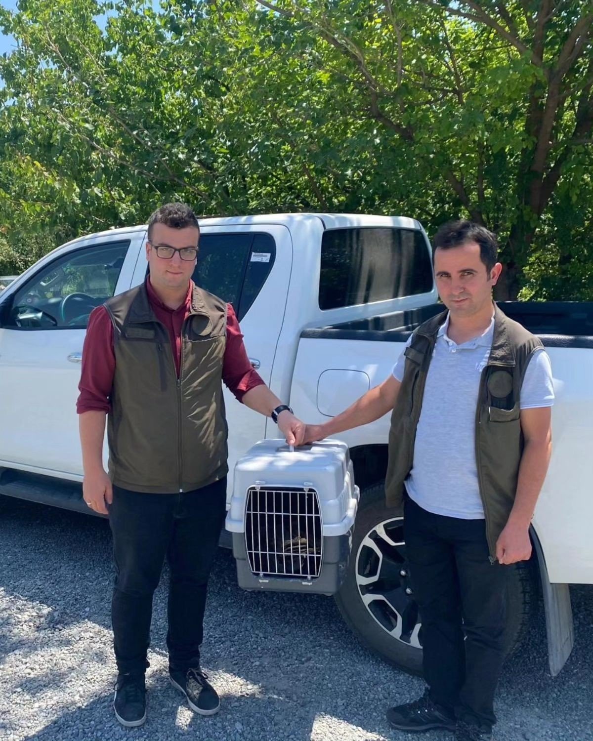 Yaralı Akbaba ve Kızıl Şahin Kars’ta tedavi altına alındı