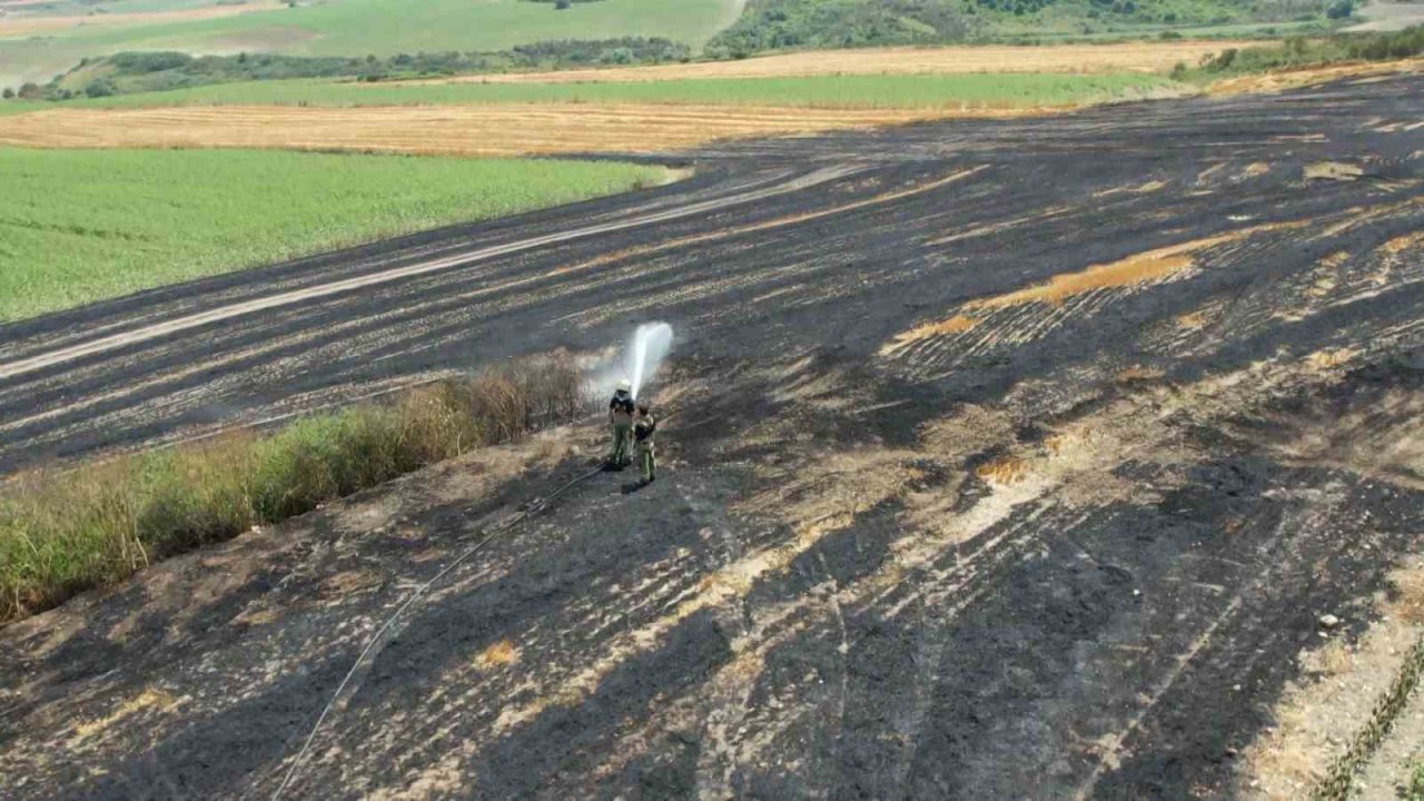 Arnavutköy’de 20 dönüm buğday tarlası küle döndü