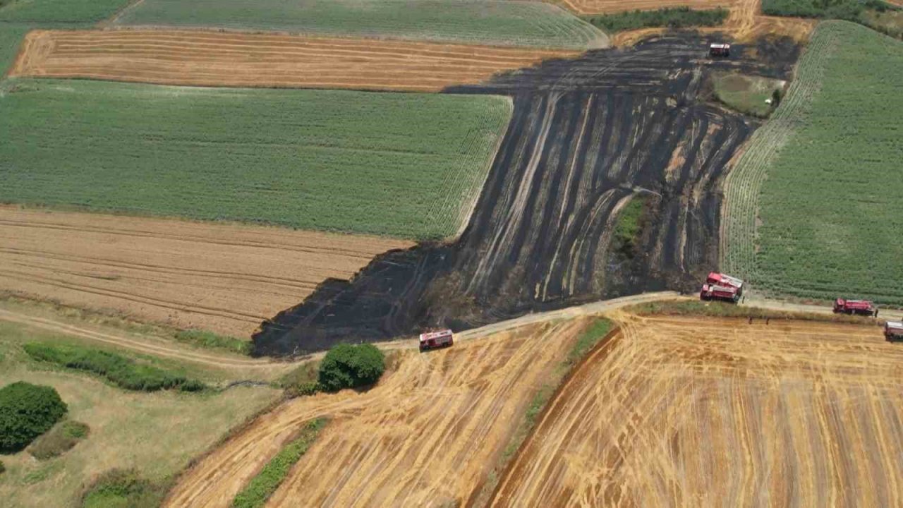 Arnavutköy’de 20 dönüm buğday tarlası küle döndü