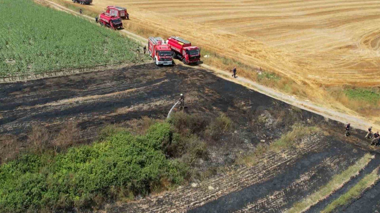 Arnavutköy’de 20 dönüm buğday tarlası küle döndü
