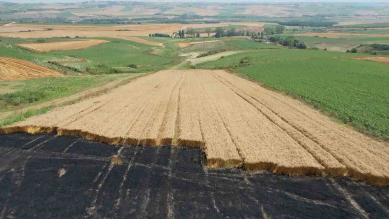 Arnavutköy’de 20 dönüm buğday tarlası küle döndü