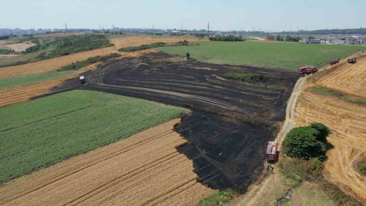 Arnavutköy’de 20 dönüm buğday tarlası küle döndü