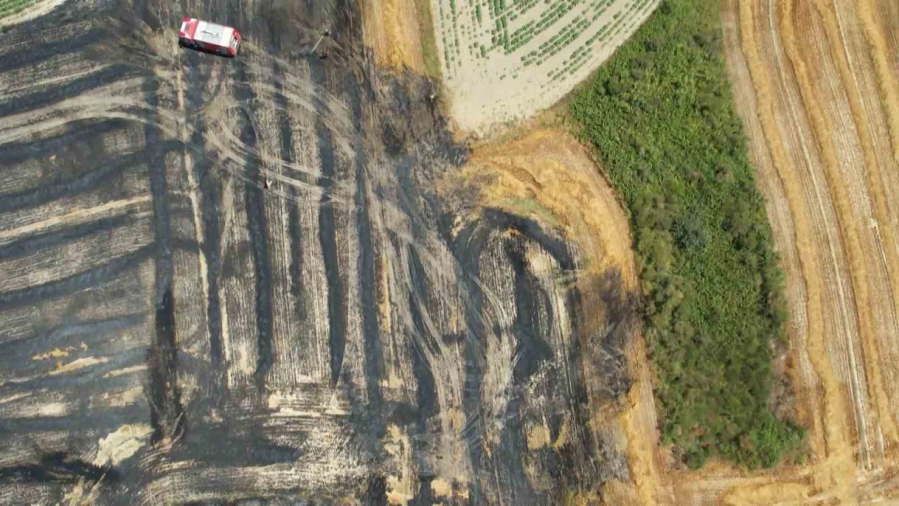 Arnavutköy’de 20 dönüm buğday tarlası küle döndü