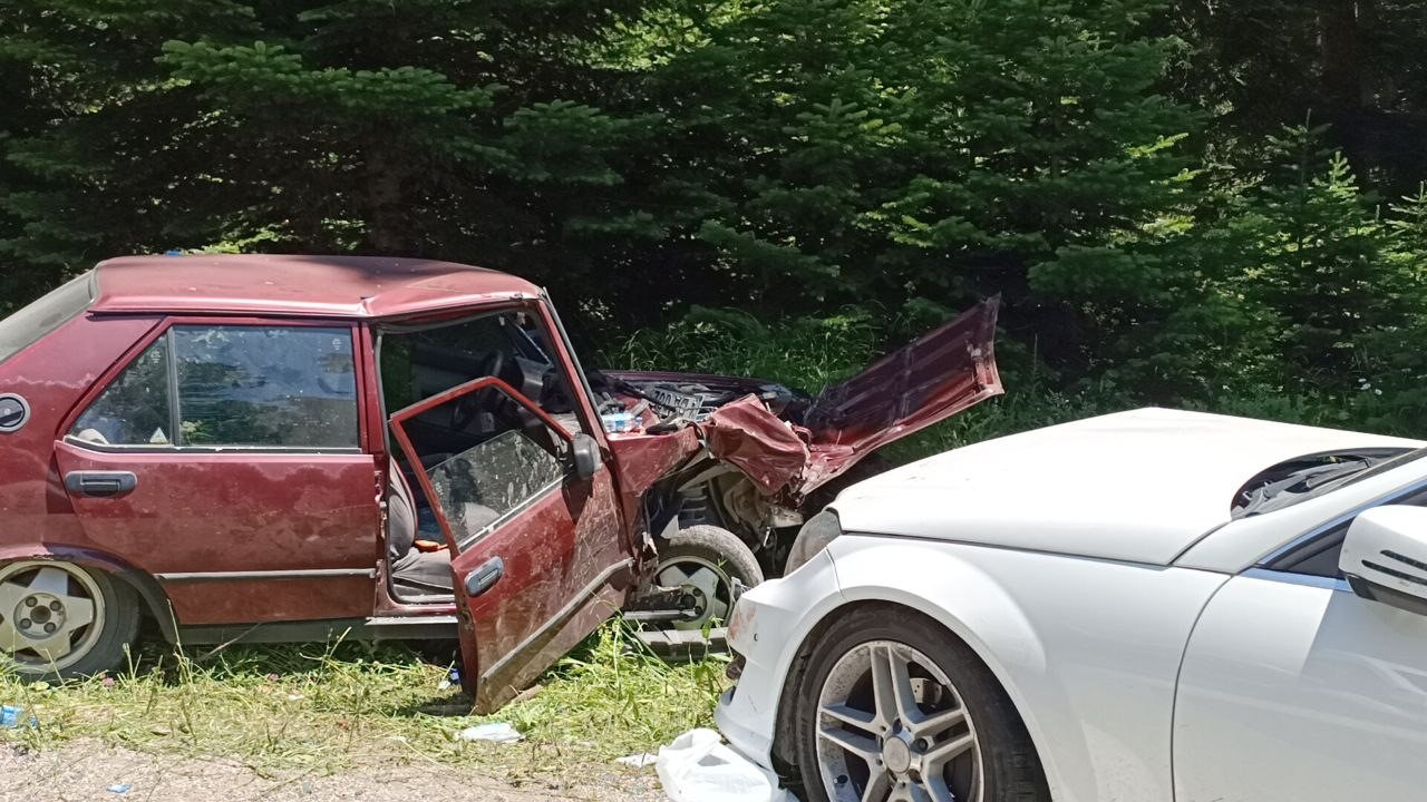 Bolu’da ormanda çilek toplamak için park edilen araç kazaya sebep oldu: 2 yaralı
