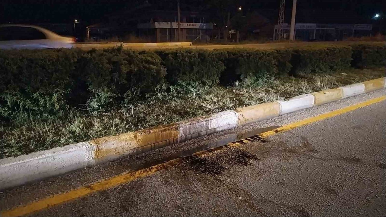 El freni çekilmeyen otomobil refüje çıktı