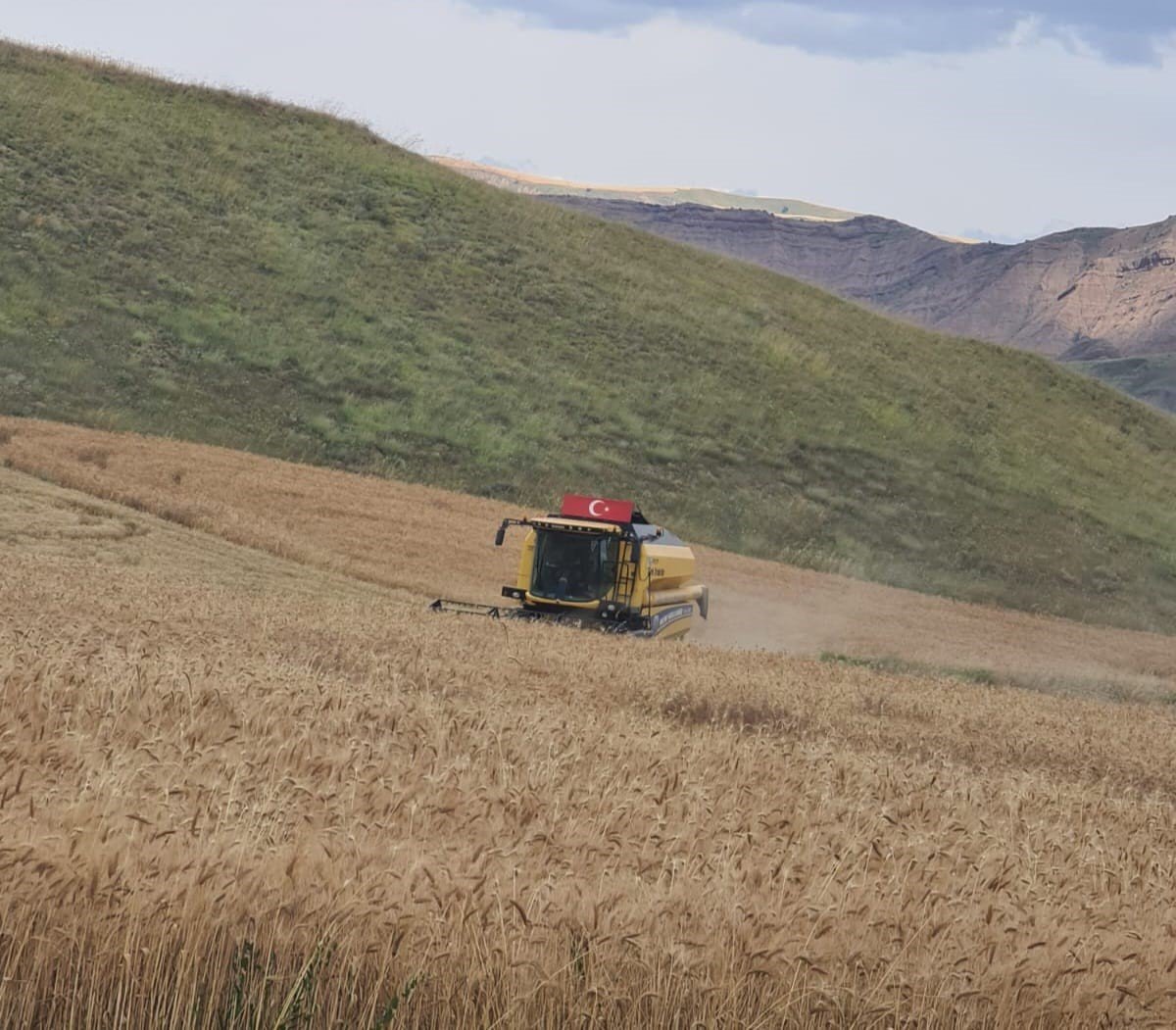 Sungurlu’da biçerdöverler denetleniyor