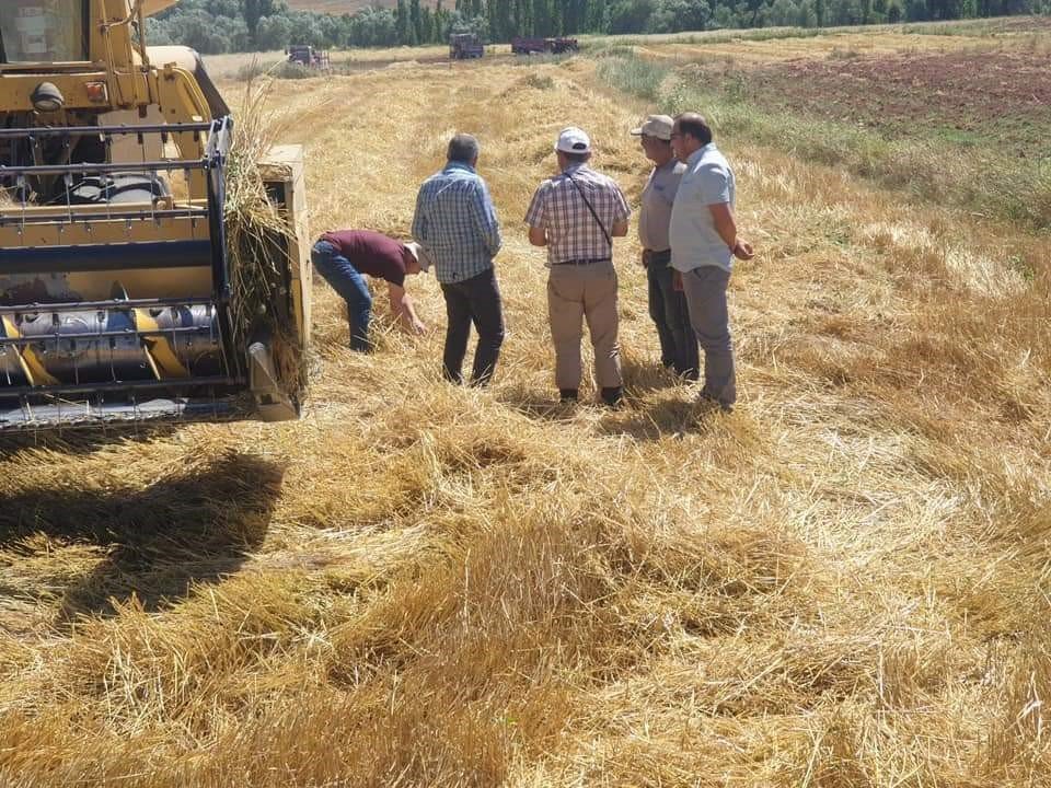 Sungurlu’da biçerdöverler denetleniyor