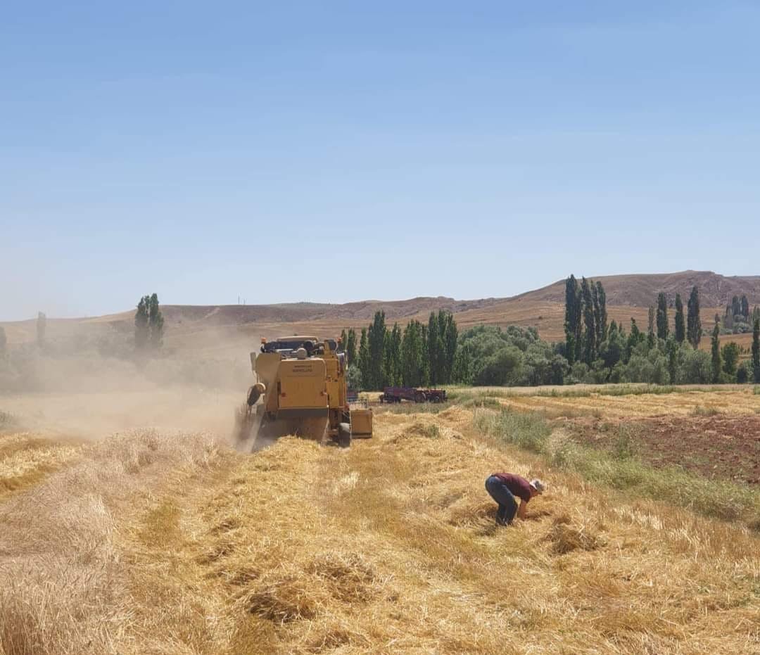 Sungurlu’da biçerdöverler denetleniyor