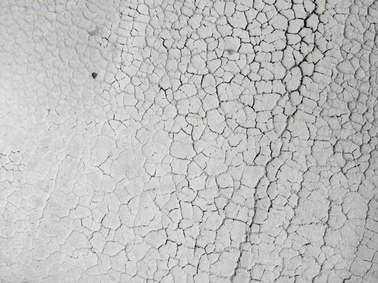 Kuraklıkla boğuşan Burdur Gölü son elli yılda üçte birini kaybetti