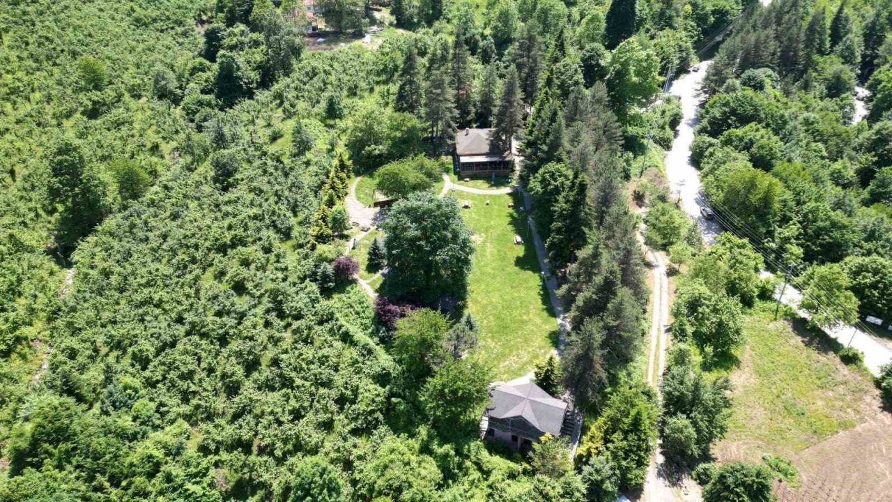 Samandere Şelalesi her gün hizmet veriyor