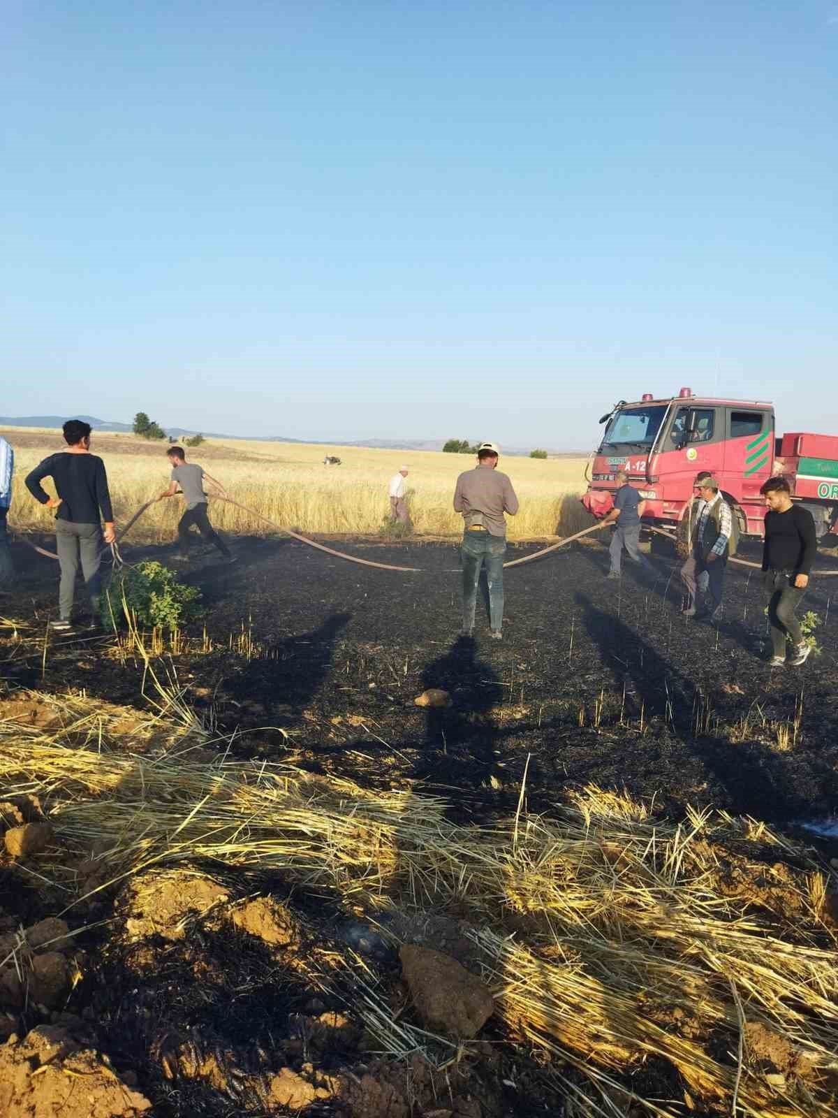 İki ayrı noktada çıkan yangında 30 dekar mahsul heba oldu