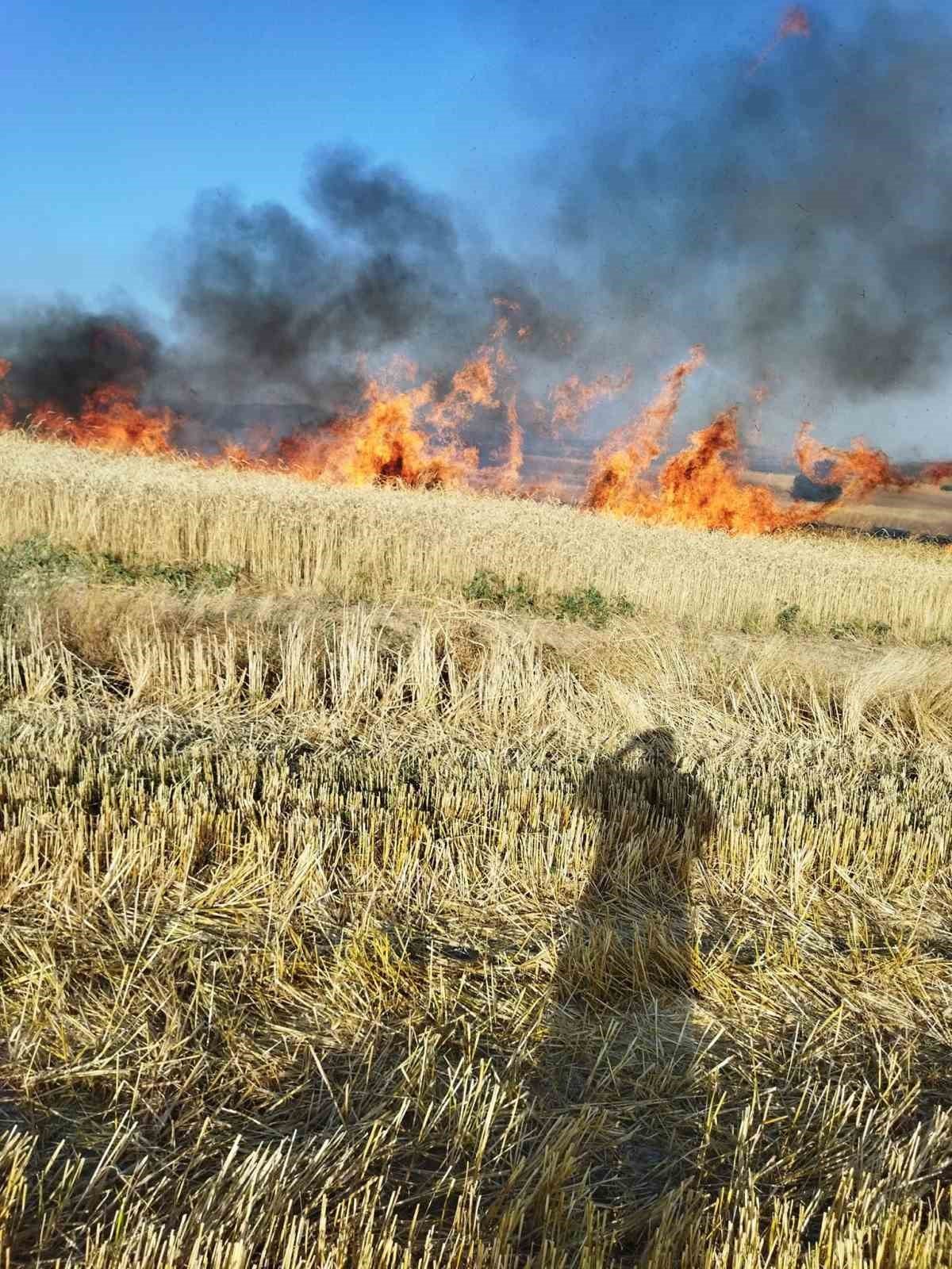 İki ayrı noktada çıkan yangında 30 dekar mahsul heba oldu