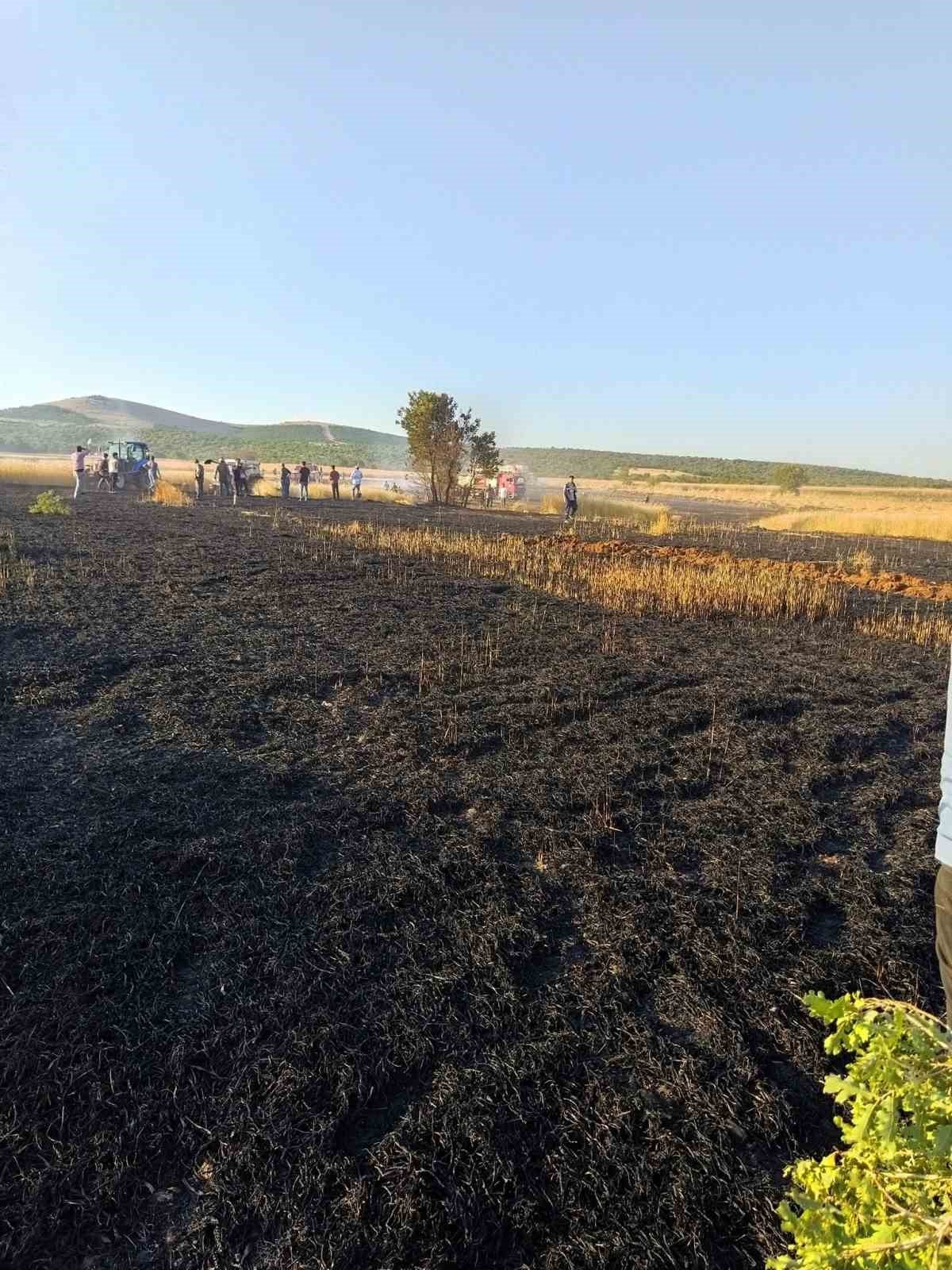 İki ayrı noktada çıkan yangında 30 dekar mahsul heba oldu