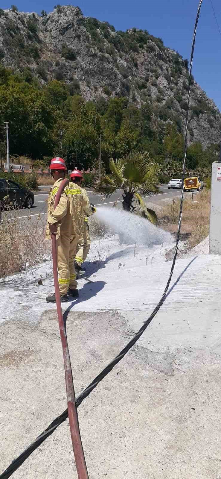 Marmaris’te yol kenarında çıkan yangın büyümeden söndürüldü