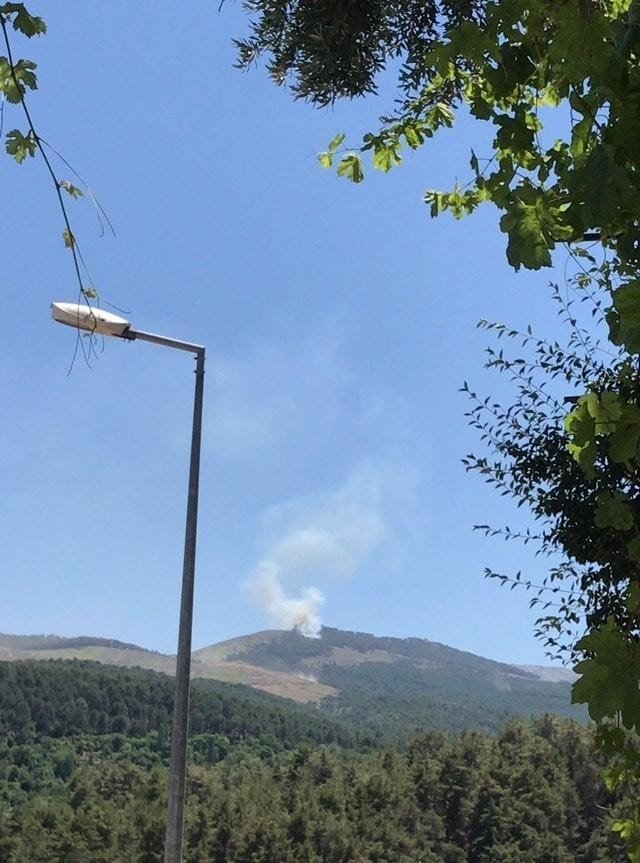 Muğla’da orman yangını