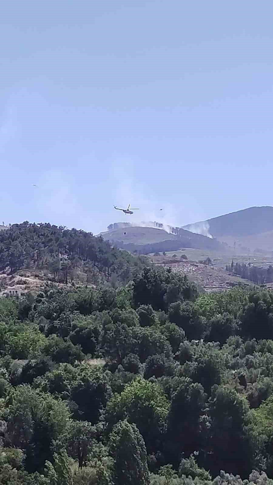 Muğla’daki orman yangınına müdahale sürüyor