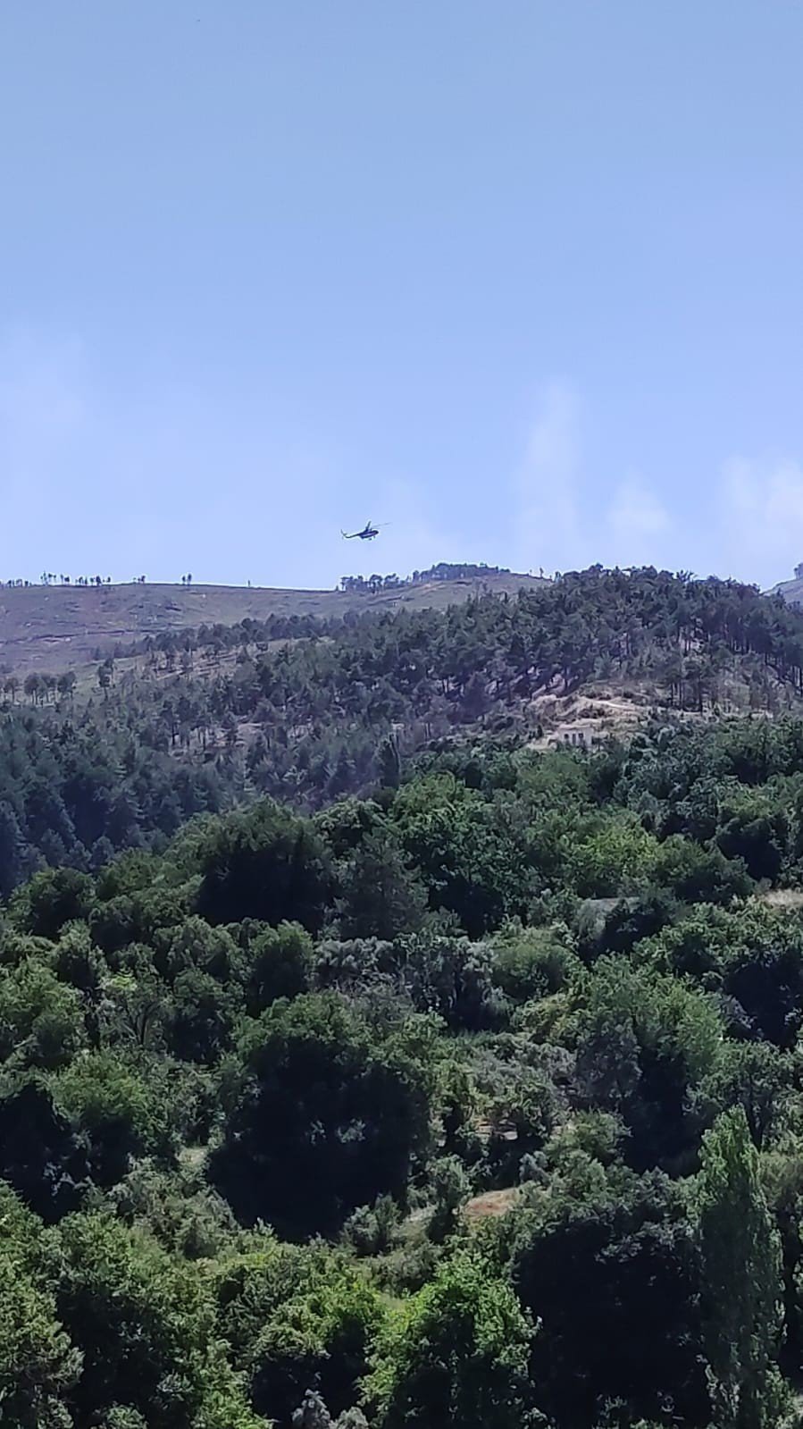 Muğla’daki orman yangınına müdahale sürüyor