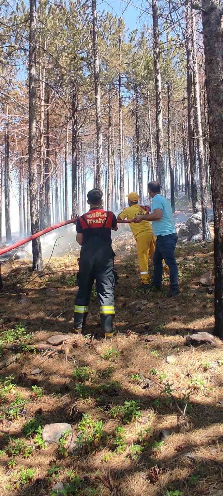 Muğla’daki orman yangını kontrol altına alındı