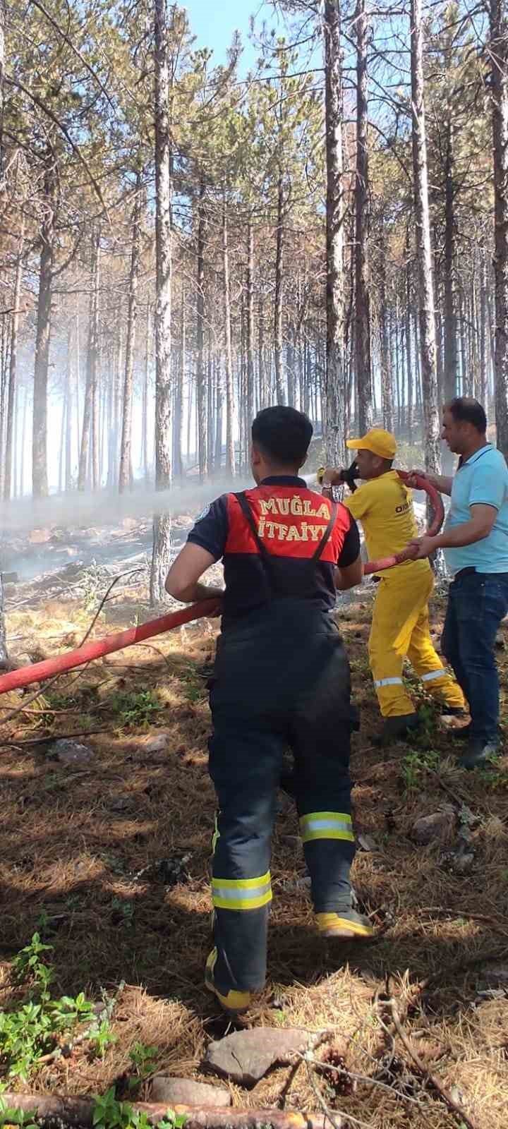 Muğla’daki orman yangını kontrol altına alındı