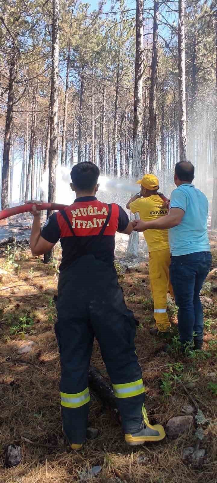 Muğla’daki orman yangını kontrol altına alındı