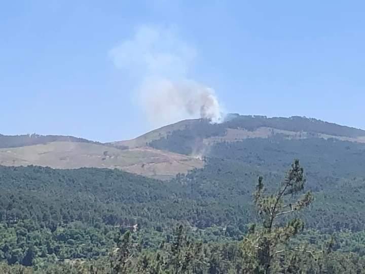 Muğla’da orman yangını