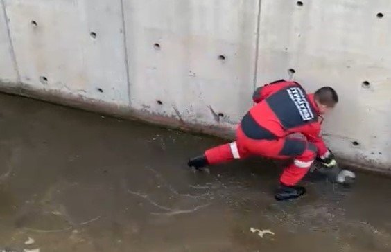 Marmaris’te kanala düşen yaralı güvercini itfaiye ekipleri kurtardı