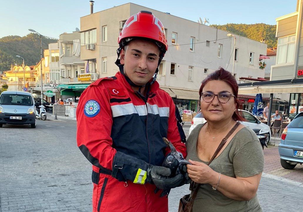 Marmaris’te kanala düşen yaralı güvercini itfaiye ekipleri kurtardı