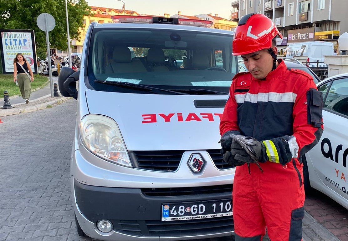 Marmaris’te kanala düşen yaralı güvercini itfaiye ekipleri kurtardı