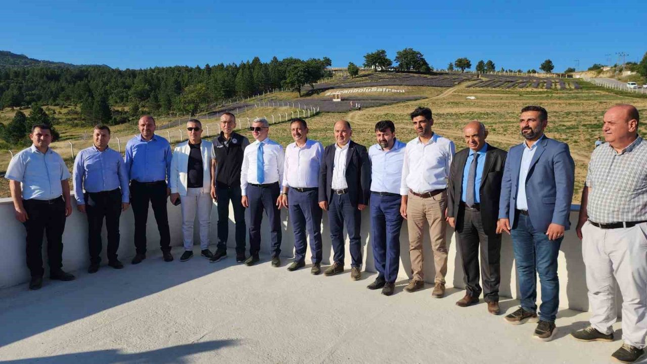 Safran’dan sonra lavanta üretimine rağbet arttı