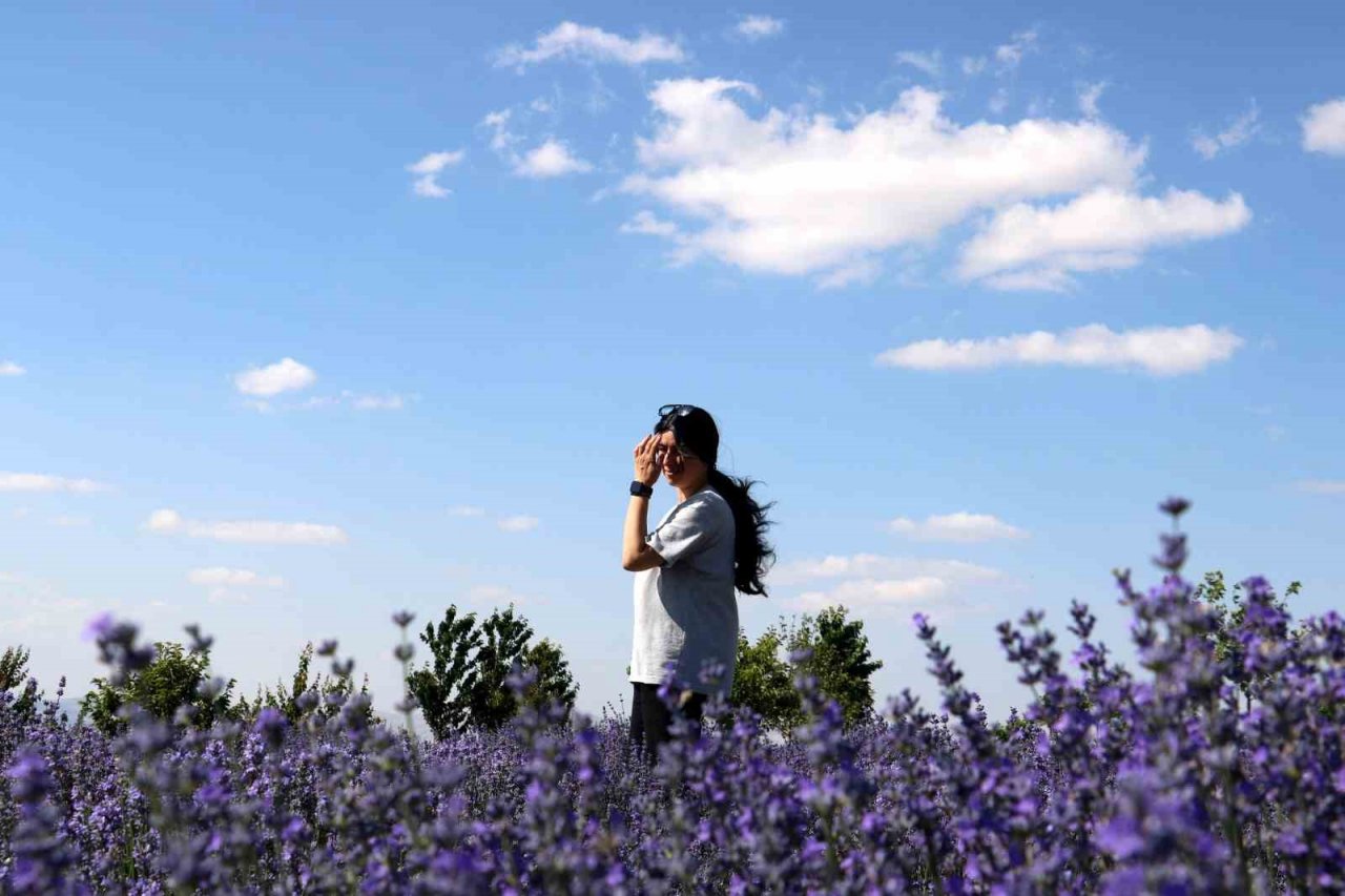 Kokusu mest ediyor, rengi büyülüyor