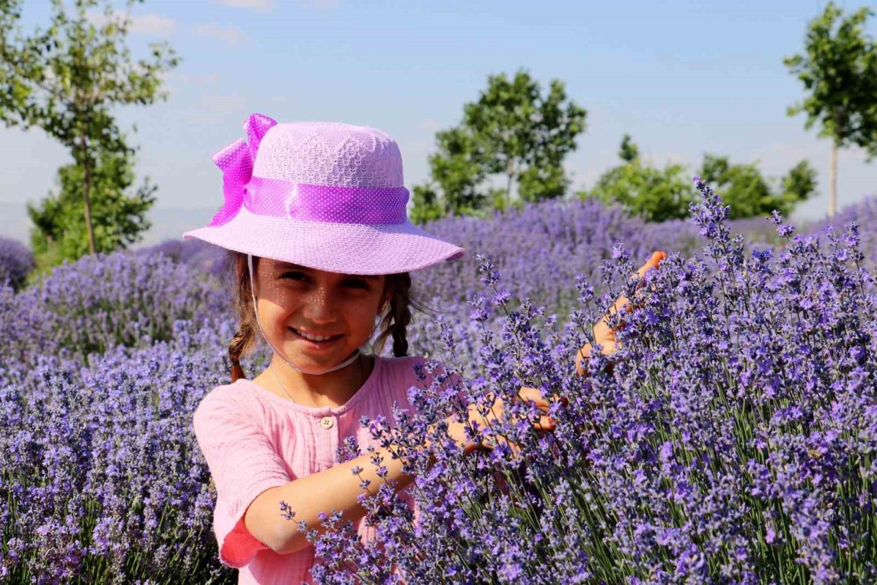 Kokusu mest ediyor, rengi büyülüyor