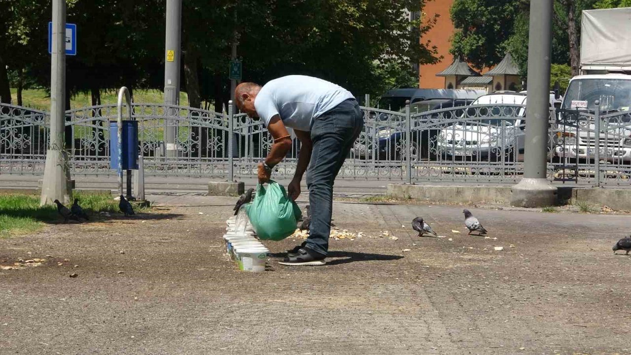 Kavurucu çöl sıcağında vatandaşlar gölgelik alanlara, çocuklar ise süs havuzuna koştu