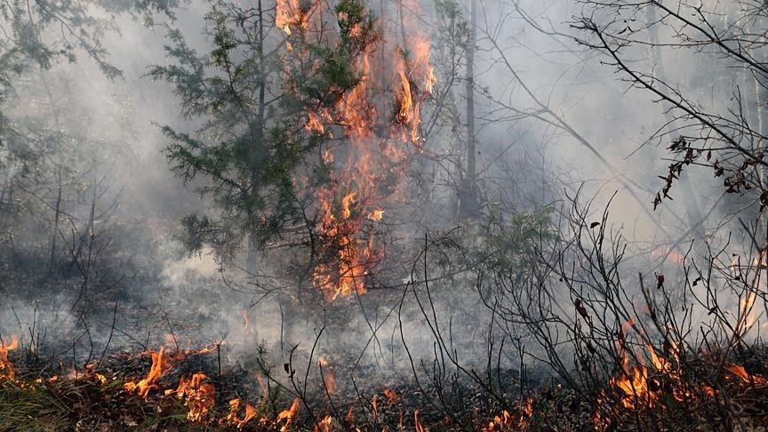 Altınova İtfaiyesi’nden orman yangını uyarısı