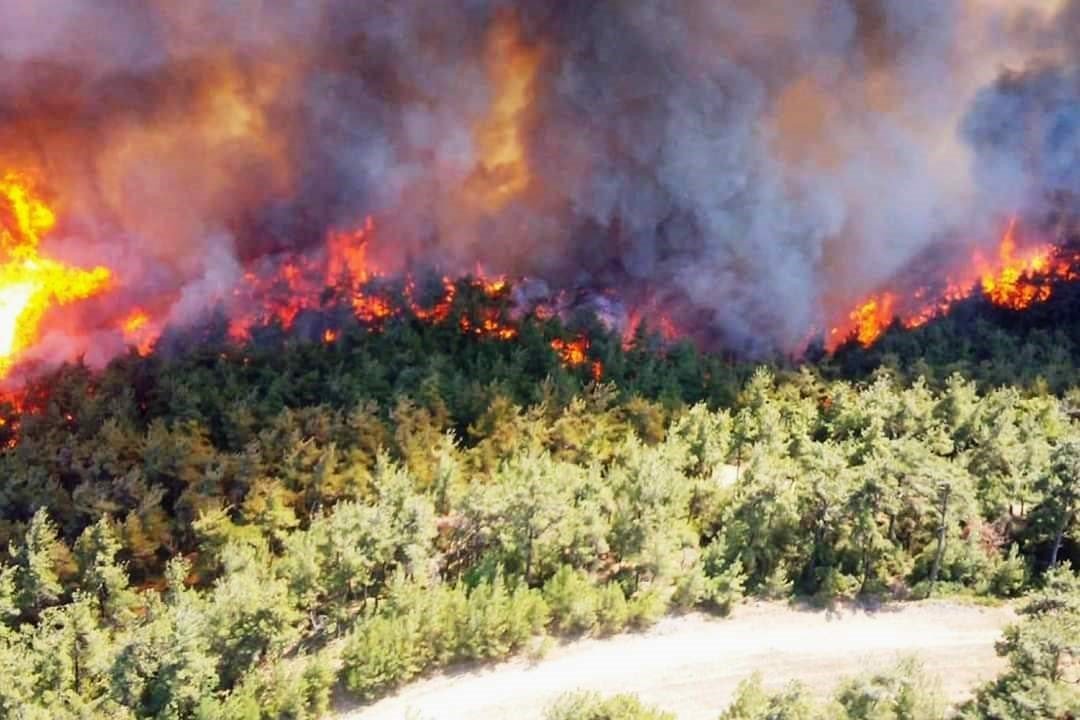 Altınova İtfaiyesi’nden orman yangını uyarısı