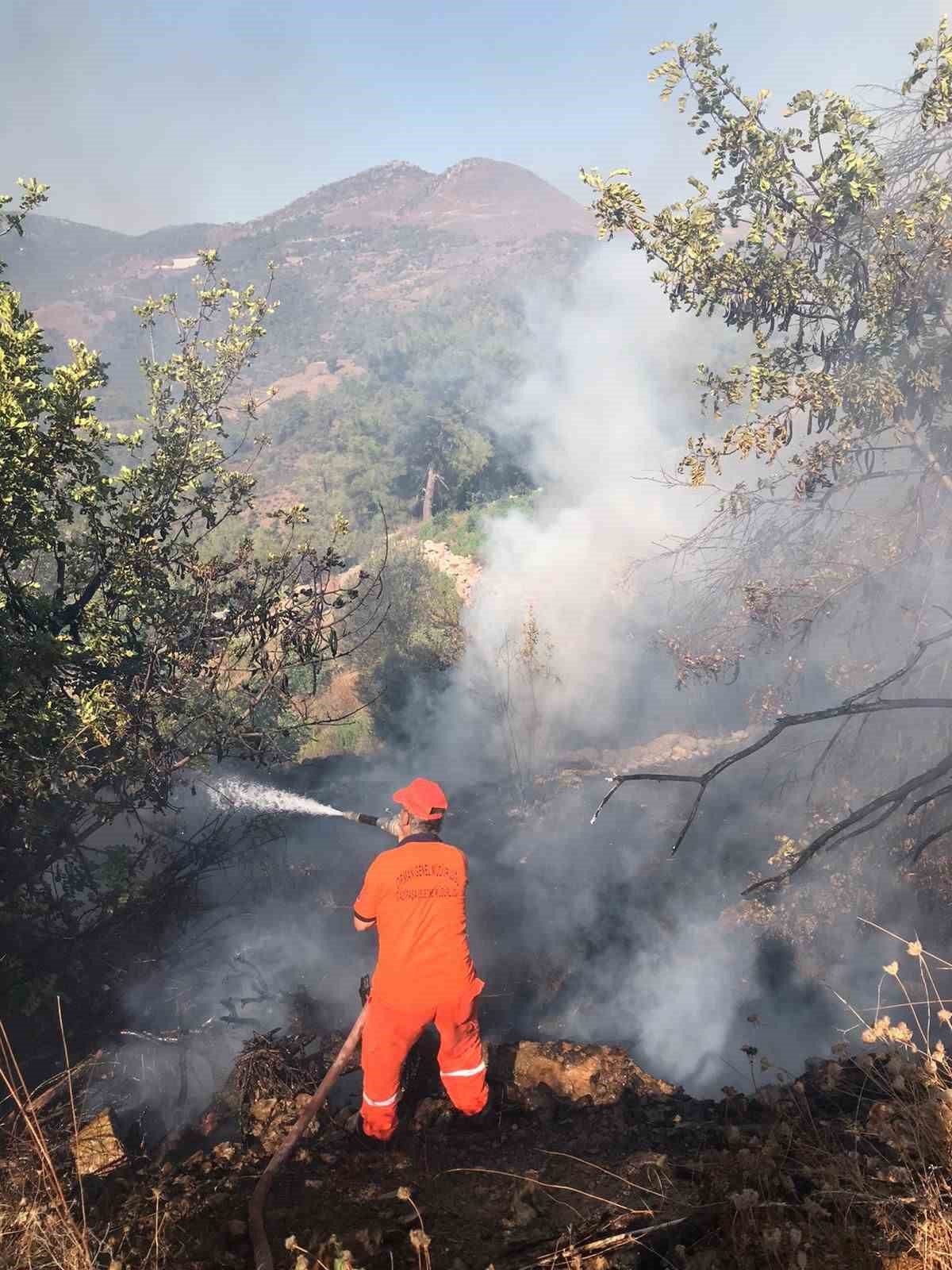 Gazipaşa’da avokado bahçesi alevlere teslim oldu