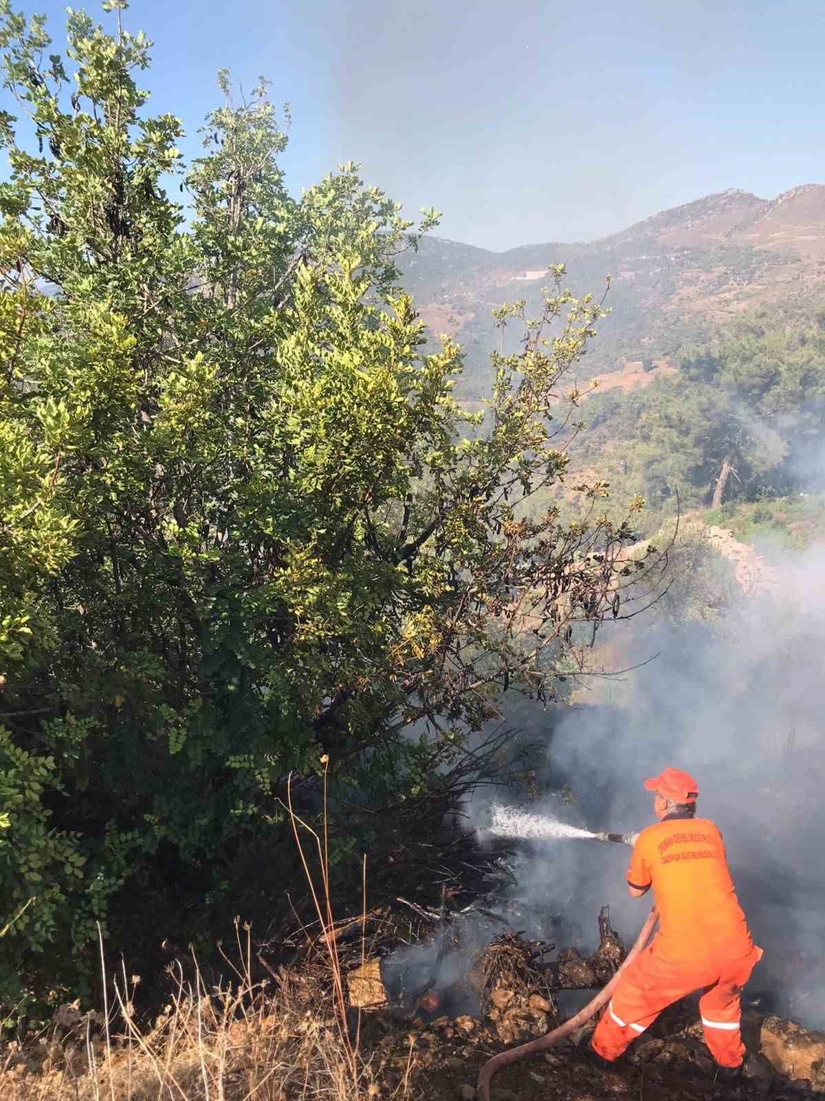 Gazipaşa’da avokado bahçesi alevlere teslim oldu