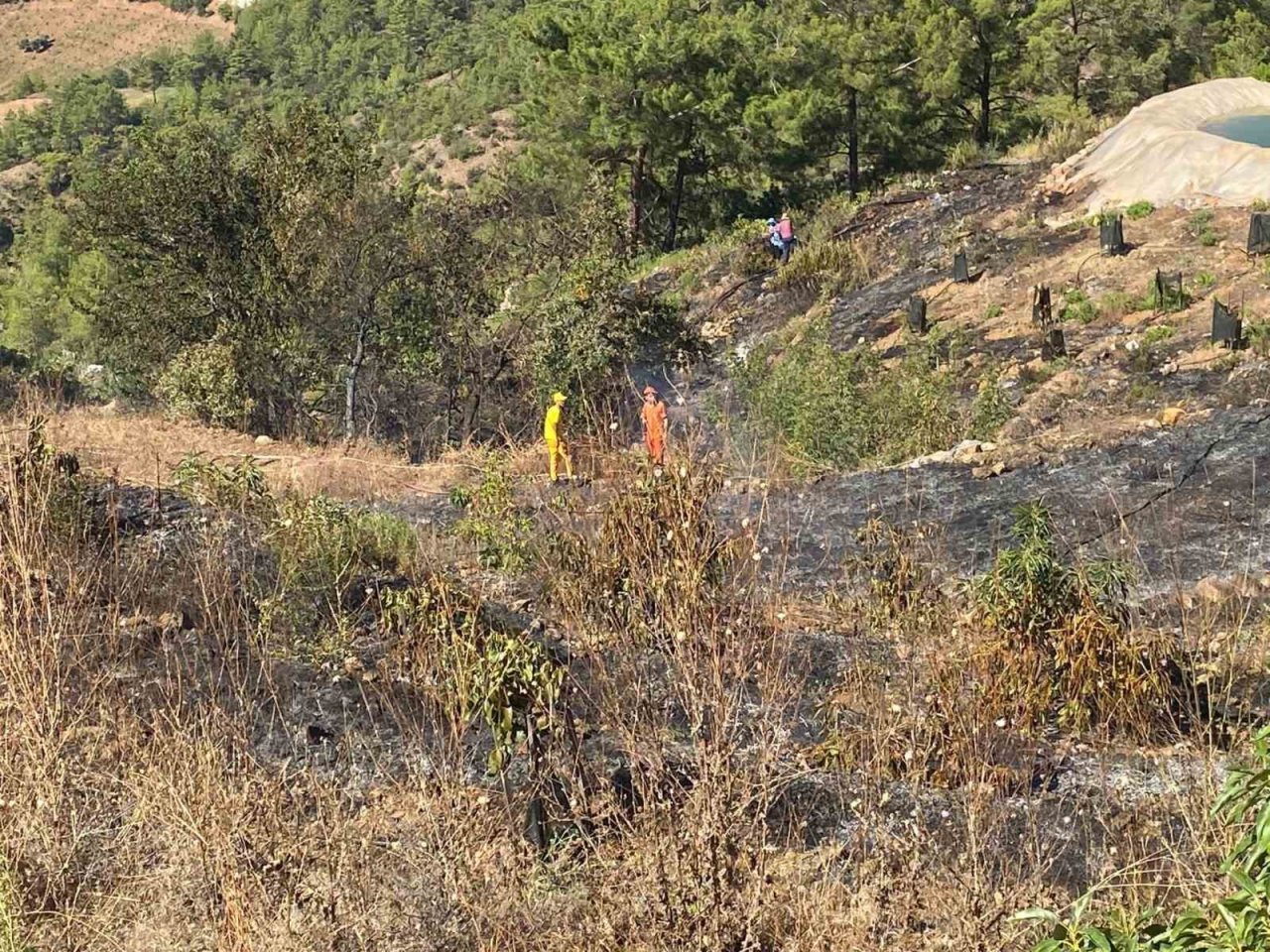 Gazipaşa’da avokado bahçesi alevlere teslim oldu