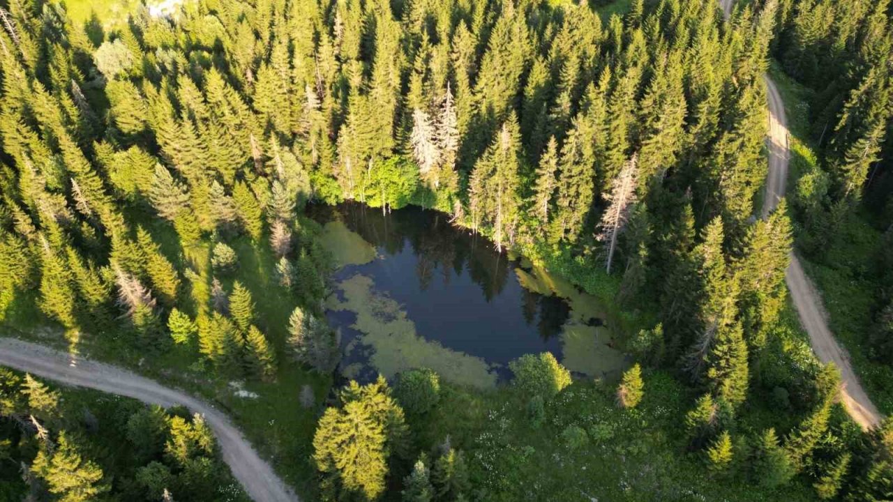Artvin’de sıcaklardan bunalanlar yayla şenliğine akın etti