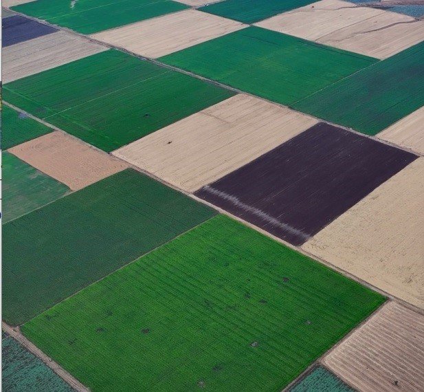 Bingöl’deki renk cümbüşü dron ile görüntülendi