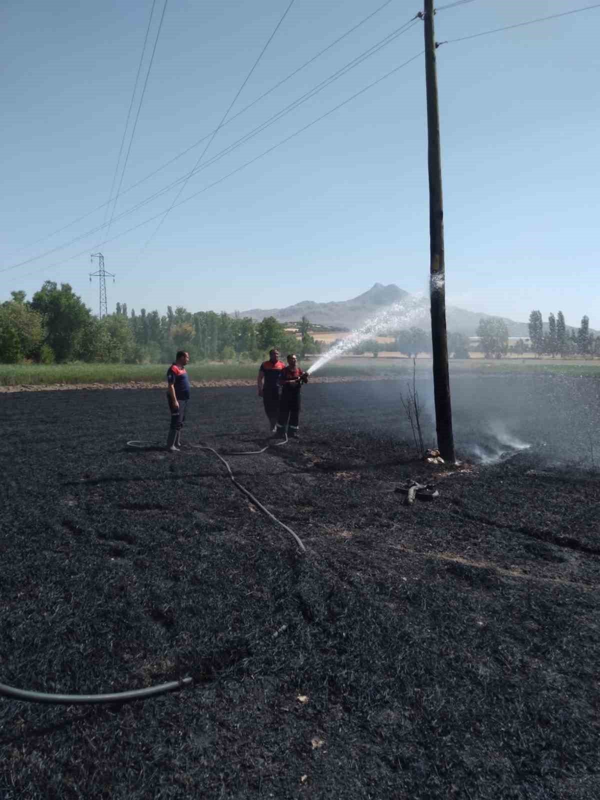 Burdur’da 40 dönüm buğday tarlası yangında küle döndü