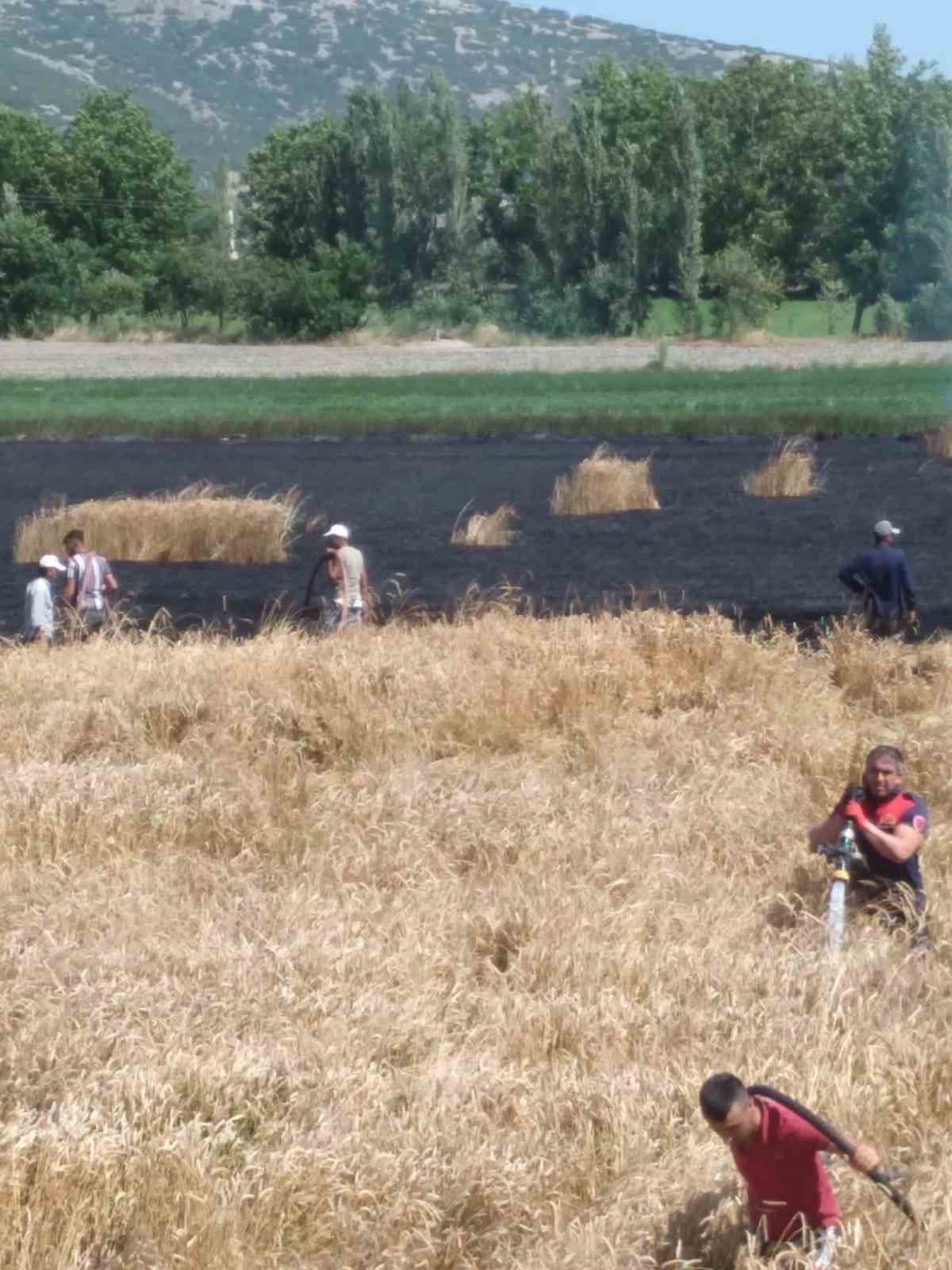Burdur’da 40 dönüm buğday tarlası yangında küle döndü